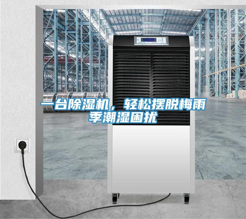 一臺除濕機，輕松擺脫梅雨季潮濕困擾