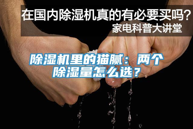 除濕機(jī)里的貓膩：兩個(gè)除濕量怎么選？