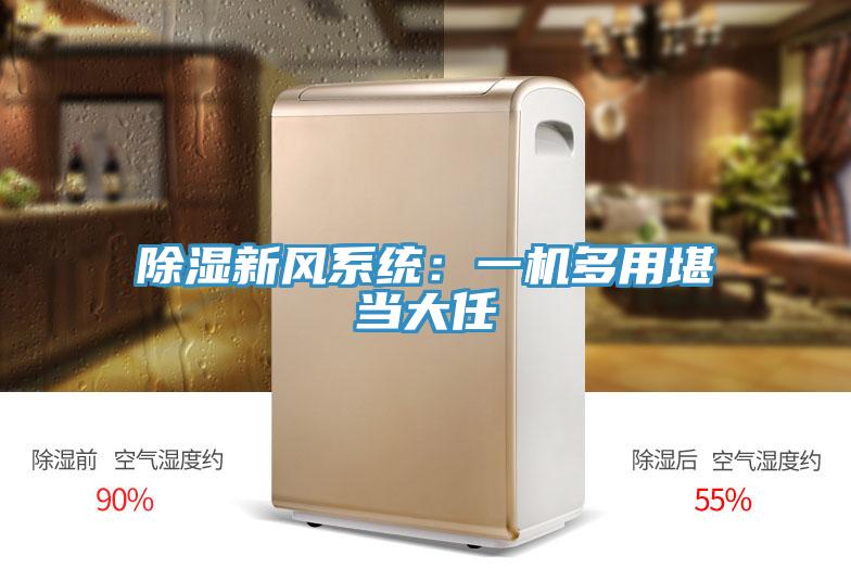 除濕新風(fēng)系統(tǒng)：一機多用堪當大任