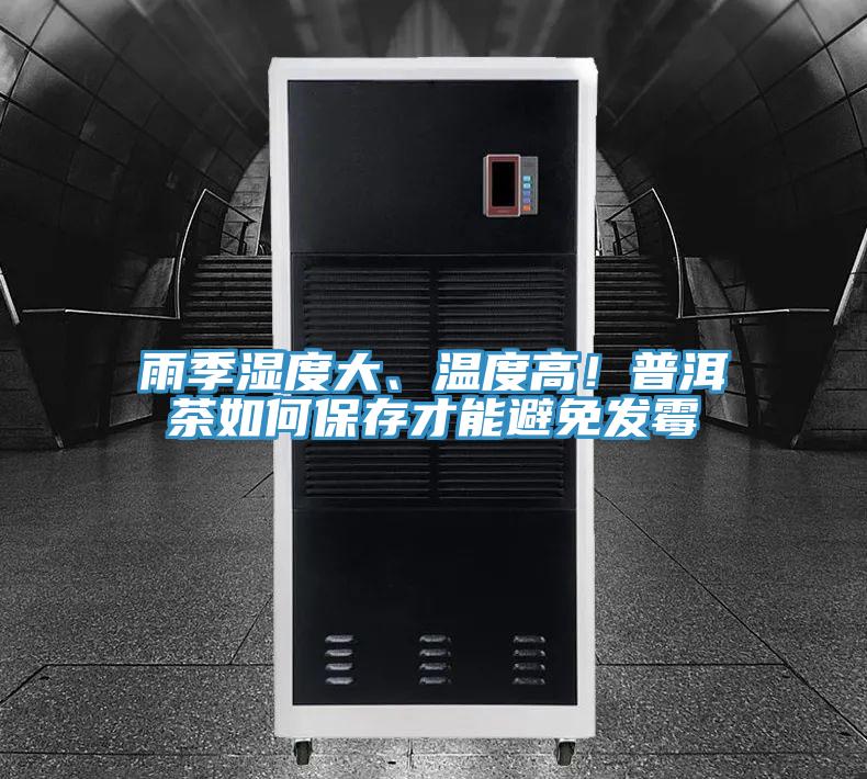 雨季濕度大、溫度高！普洱茶如何保存才能避免發霉