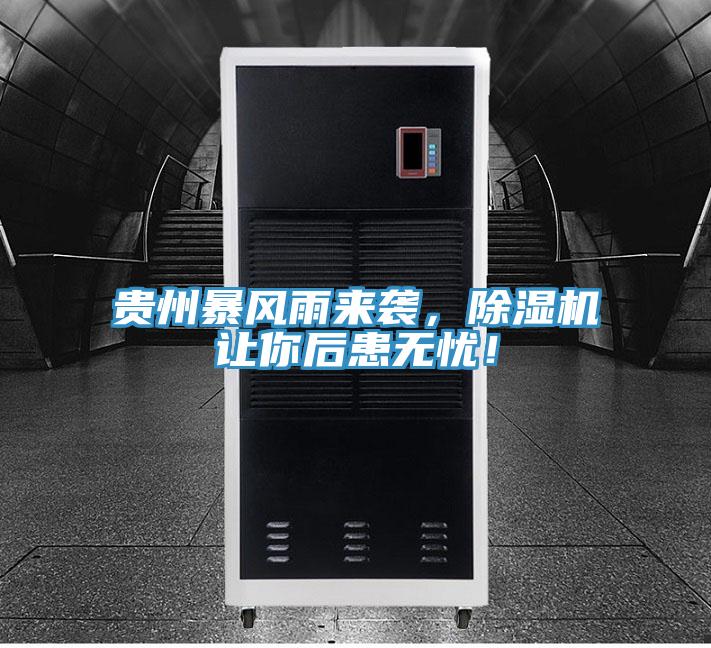 貴州暴風雨來襲，除濕機讓你后患無憂！