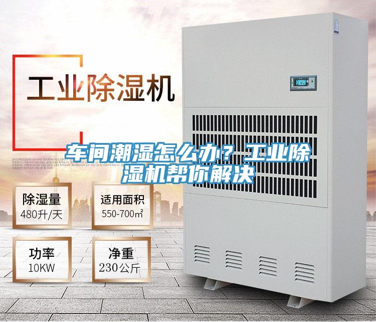 車間潮濕怎么辦？工業除濕機幫你解決