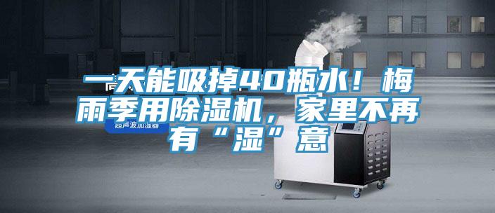 一天能吸掉40瓶水！梅雨季用除濕機，家里不再有“濕”意