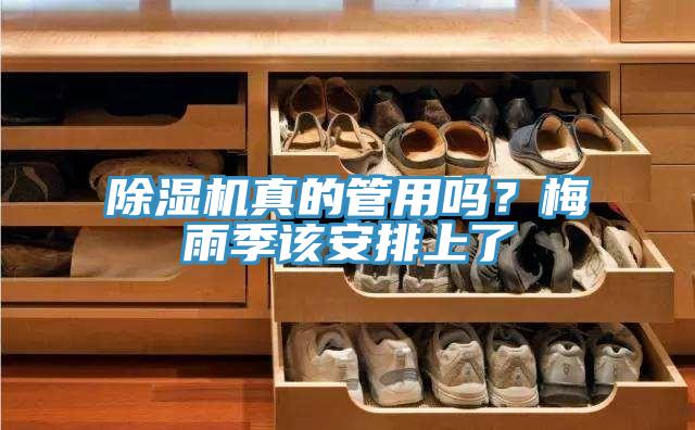 除濕機(jī)真的管用嗎？梅雨季該安排上了