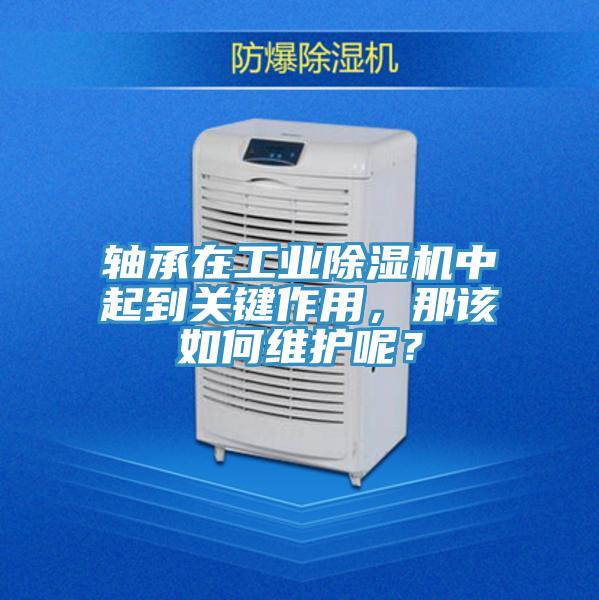 軸承在工業(yè)除濕機(jī)中起到關(guān)鍵作用，那該如何維護(hù)呢？