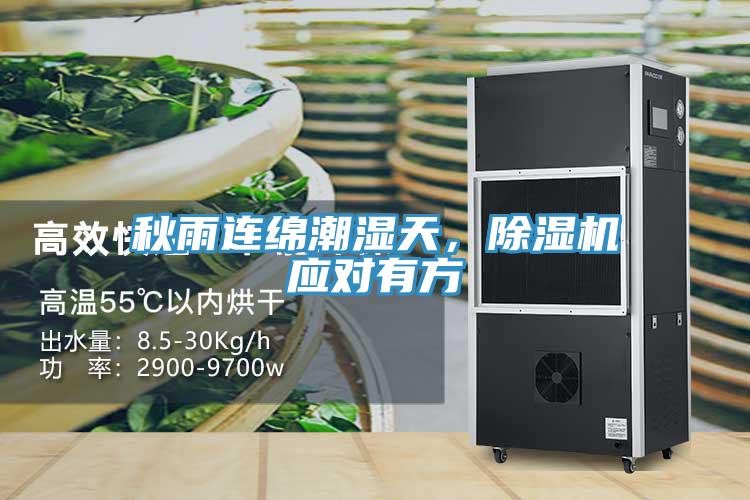 秋雨連綿潮濕天，除濕機(jī)應(yīng)對有方