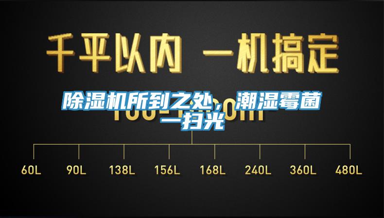 除濕機所到之處，潮濕霉菌一掃光