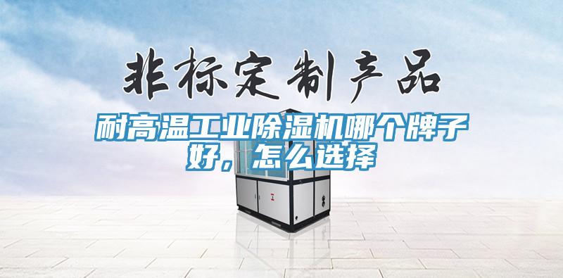 耐高溫工業除濕機哪個牌子好，怎么選擇