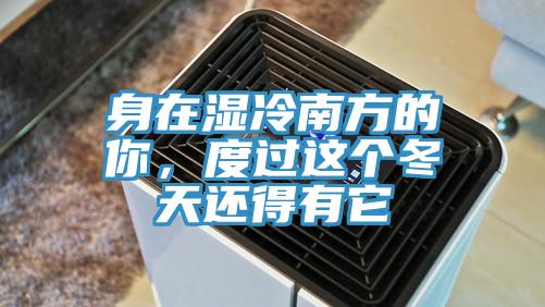 身在濕冷南方的你，度過這個(gè)冬天還得有它