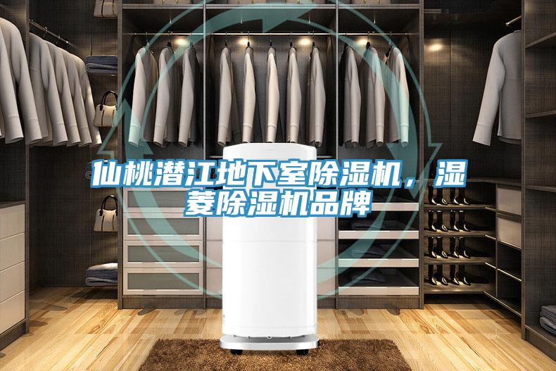 仙桃潛江地下室除濕機(jī)，濕菱除濕機(jī)品牌