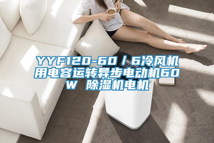 YYF120-60／6冷風(fēng)機(jī)用電容運(yùn)轉(zhuǎn)異步電動機(jī)60W 除濕機(jī)電機(jī)