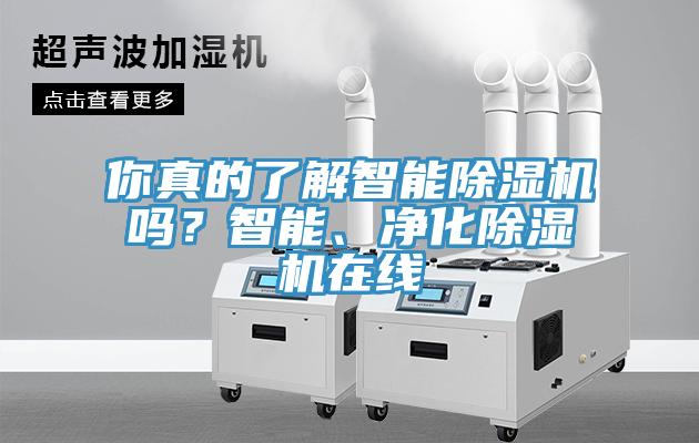 你真的了解智能除濕機嗎？智能、凈化除濕機在線