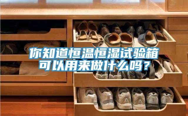 你知道恒溫恒濕試驗箱可以用來做什么嗎？