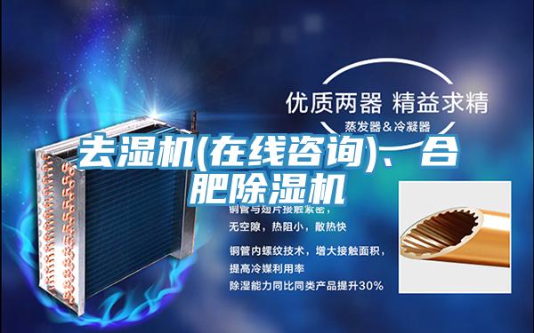 去濕機(在線咨詢)、合肥除濕機