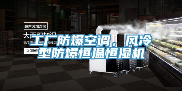 工廠(chǎng)防爆空調(diào)，風(fēng)冷型防爆恒溫恒濕機(jī)