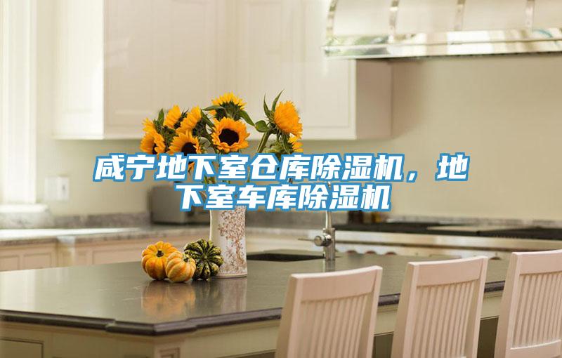 咸寧地下室倉庫除濕機，地下室車庫除濕機