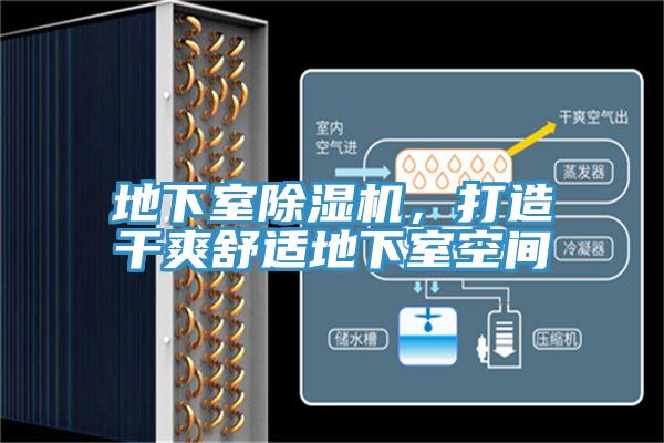 地下室除濕機，打造干爽舒適地下室空間