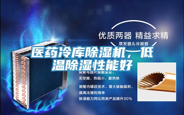 醫藥冷庫除濕機，低溫除濕性能好
