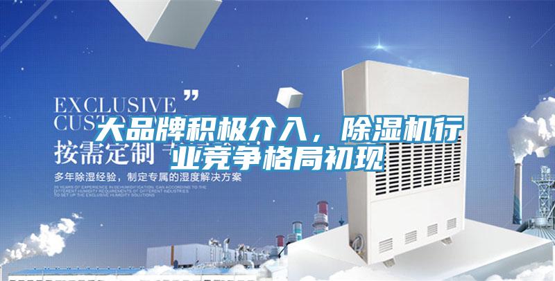 大品牌積極介入，除濕機(jī)行業(yè)競(jìng)爭格局初現(xiàn)