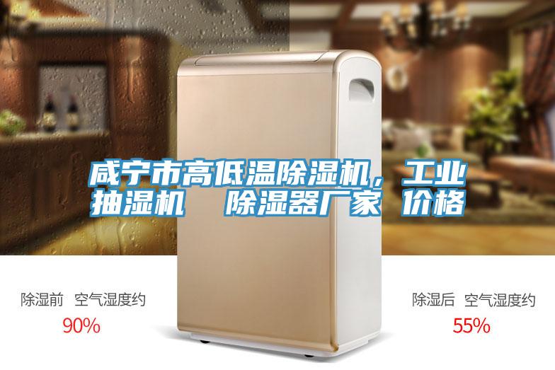 咸寧市高低溫除濕機，工業抽濕機  除濕器廠家 價格