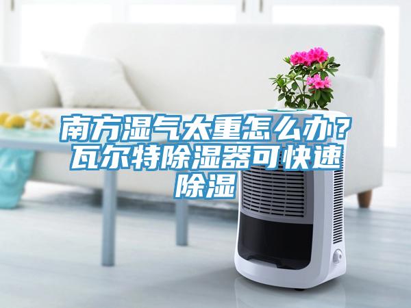 南方濕氣太重怎么辦？瓦爾特除濕器可快速除濕