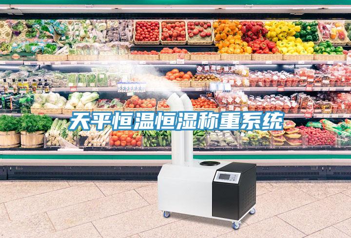 天平恒溫恒濕稱(chēng)重系統(tǒng)