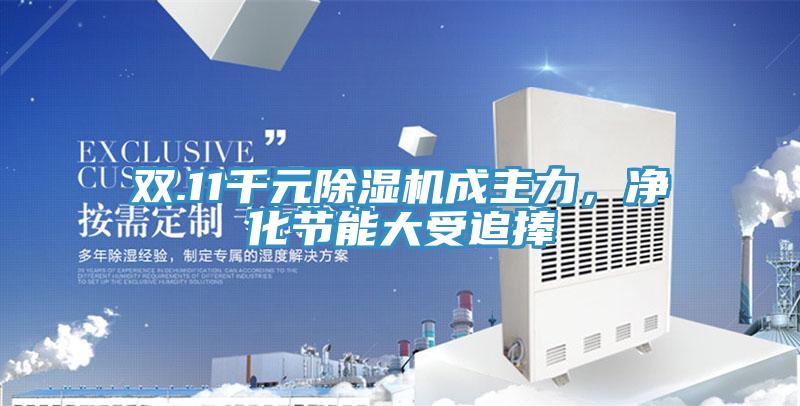 雙.11千元除濕機成主力，凈化節(jié)能大受追捧