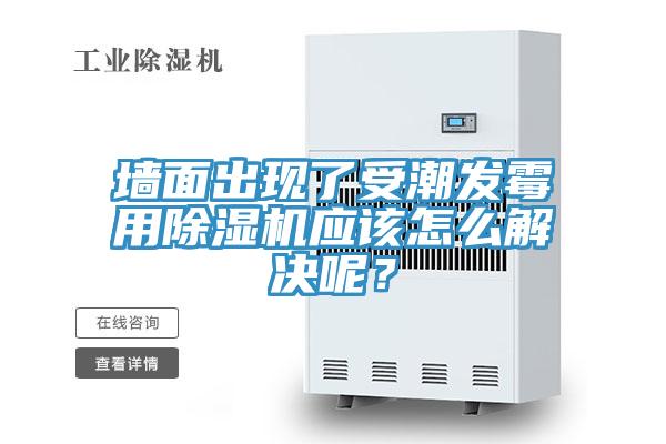 墻面出現了受潮發霉用除濕機應該怎么解決呢？
