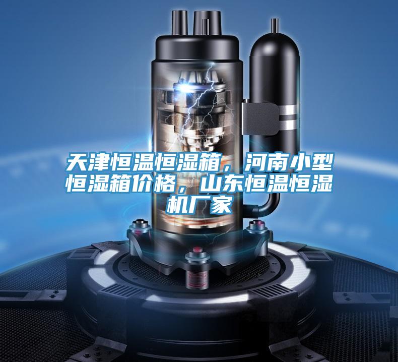 天津恒溫恒濕箱，河南小型恒濕箱價格，山東恒溫恒濕機廠家