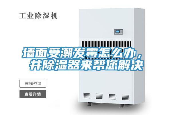 墻面受潮發霉怎么辦，東井除濕器來幫您解決