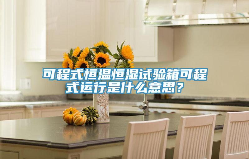 可程式恒溫恒濕試驗(yàn)箱可程式運(yùn)行是什么意思？