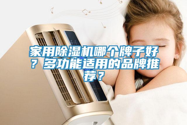 家用除濕機哪個牌子好？多功能適用的品牌推薦？