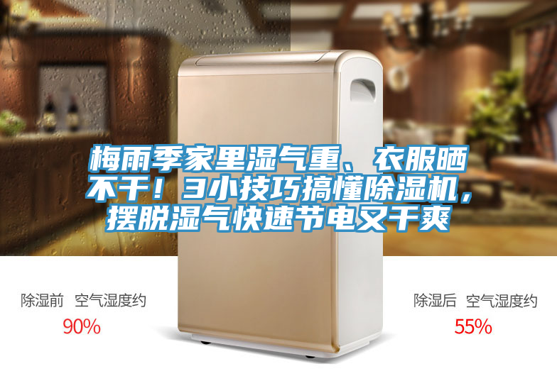 梅雨季家里濕氣重、衣服曬不干！3小技巧搞懂除濕機，擺脫濕氣快速節電又干爽