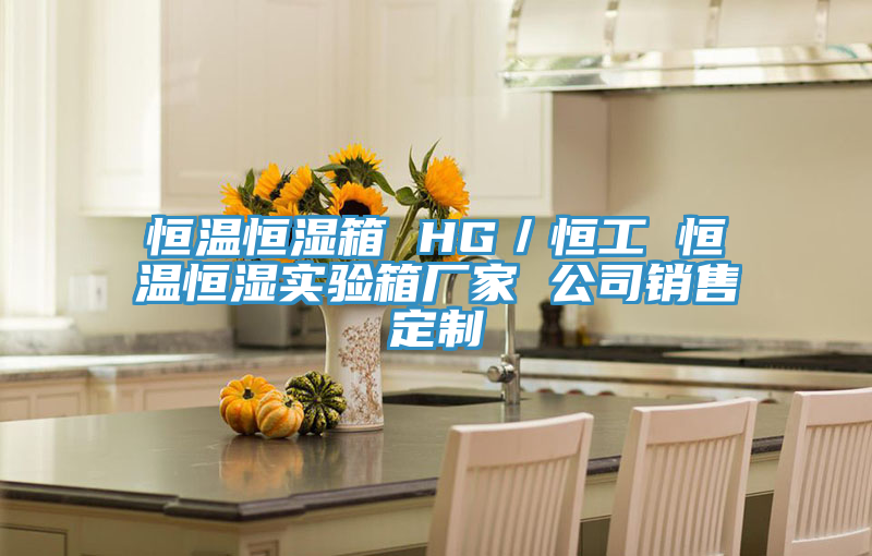 恒溫恒濕箱 HG／恒工 恒溫恒濕實(shí)驗箱廠家 公司銷售定制