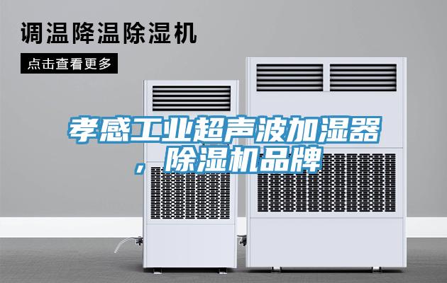 孝感工業超聲波加濕器，除濕機品牌