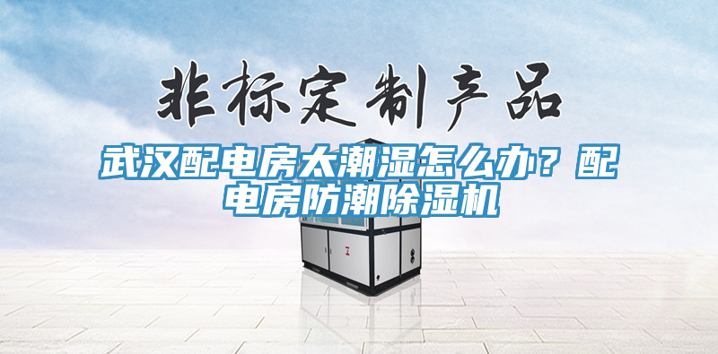 武漢配電房太潮濕怎么辦？配電房防潮除濕機