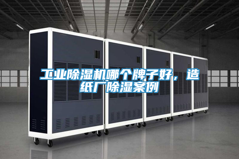 工業除濕機哪個牌子好，造紙廠除濕案例