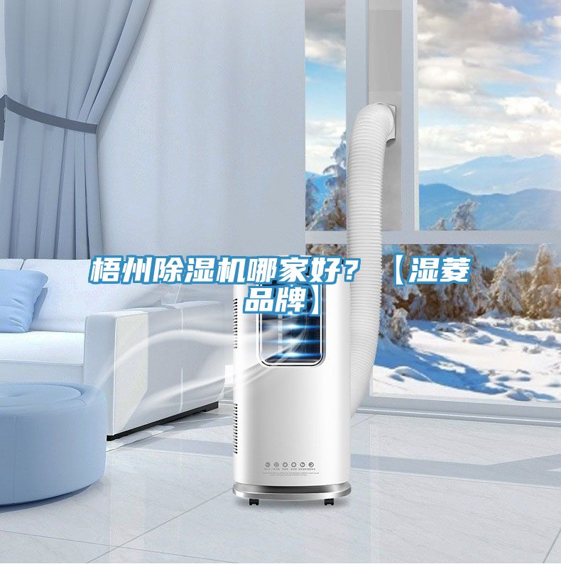 梧州除濕機哪家好?【濕菱品牌】
