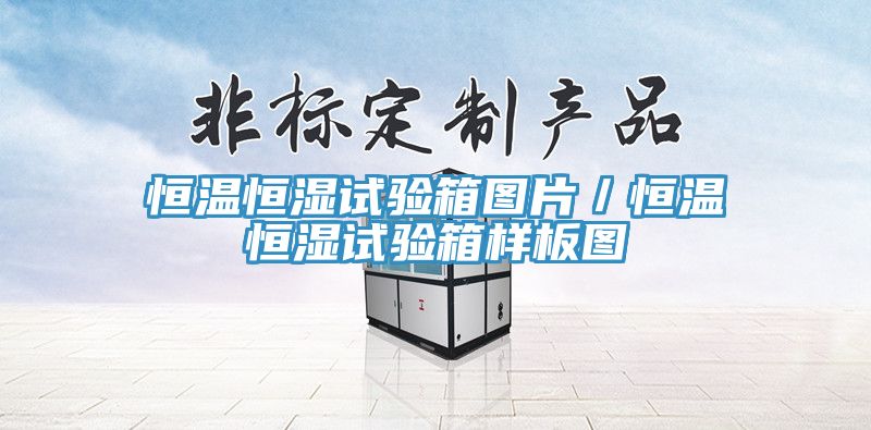 恒溫恒濕試驗箱圖片/恒溫恒濕試驗箱樣板圖