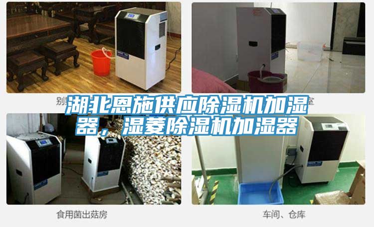 湖北恩施供應除濕機加濕器，濕菱除濕機加濕器