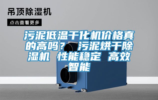 污泥低溫干化機價格真的高嗎? 污泥烘干除濕機 性能穩定 高效智能