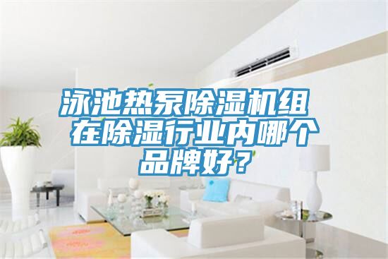 泳池?zé)岜贸凉駲C(jī)組 在除濕行業(yè)內(nèi)哪個(gè)品牌好?