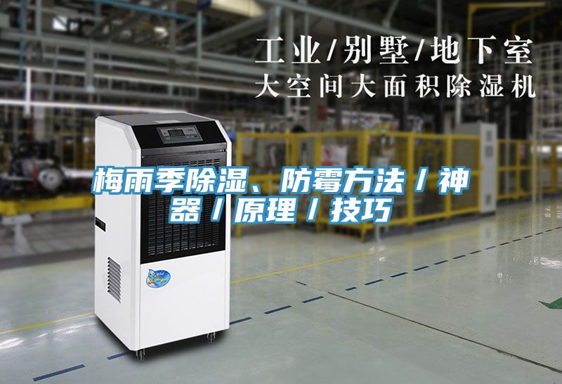 梅雨季除濕、防霉方法/神器/原理/技巧