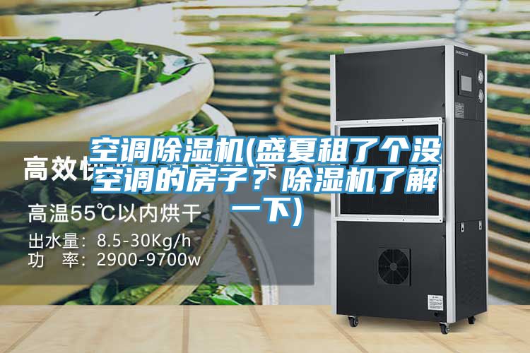 空調(diào)除濕機(jī)(盛夏租了個(gè)沒(méi)空調(diào)的房子?除濕機(jī)了解一下)