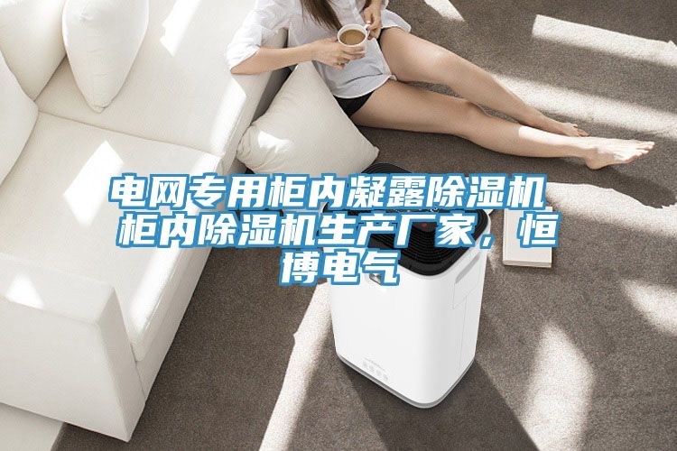 電網(wǎng)專(zhuān)用柜內(nèi)凝露除濕機(jī) 柜內(nèi)除濕機(jī)生產(chǎn)廠家,恒博電氣