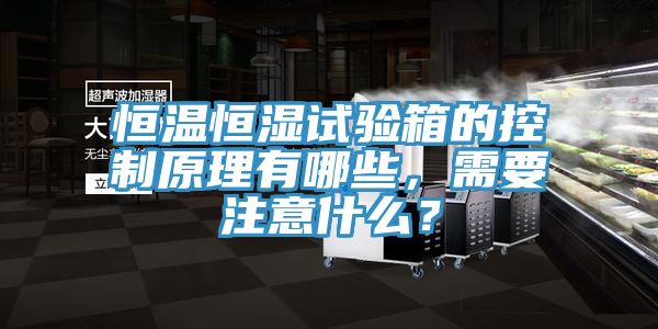 恒溫恒濕試驗(yàn)箱的控制原理有哪些,需要注意什么?
