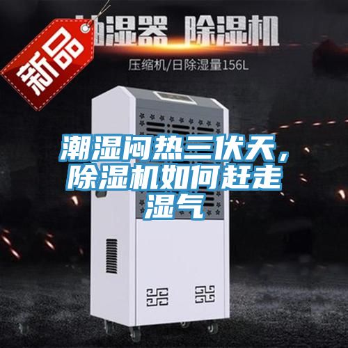 潮濕悶熱三伏天,除濕機(jī)如何趕走濕氣