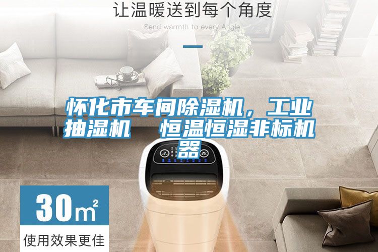 懷化市車間除濕機，工業(yè)抽濕機  恒溫恒濕非標機器