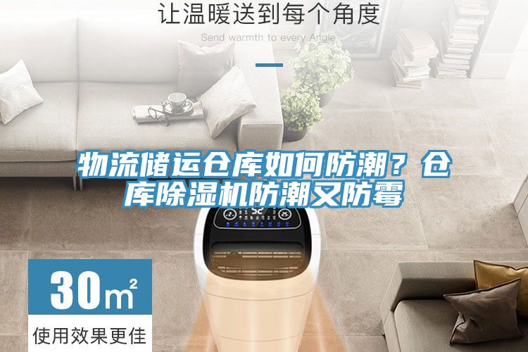 物流儲(chǔ)運(yùn)倉(cāng)庫(kù)如何防潮？倉(cāng)庫(kù)除濕機(jī)防潮又防霉