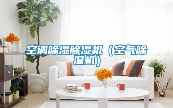 空調除濕除濕機(空氣除濕機)